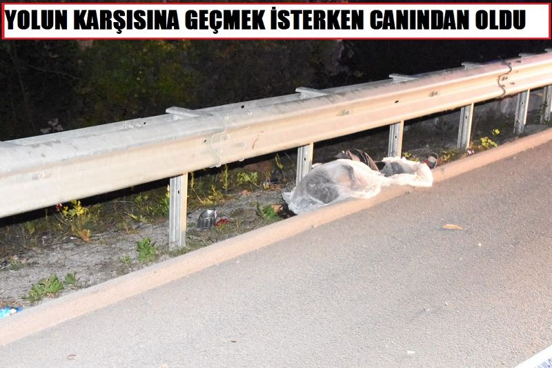 YOLUN KARŞISINA GEÇMEK İSTERKEN CANINDAN OLDU