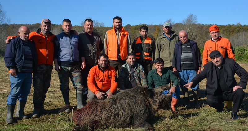 4 SAATLİK UĞRAŞ SONUCU 200 KİLOLUK DOMUZU AVLADILAR