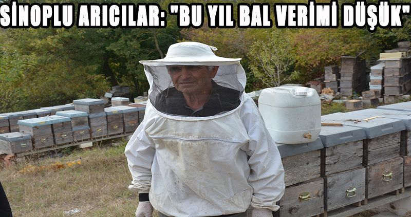 SİNOPLU ARICILAR: "BU YIL BAL VERİMİ DÜŞÜK"