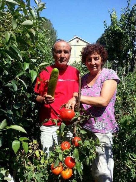 BAHÇESİNDE 2'ŞER KİLOLUK DOMATES VE SALATALIK YETİŞTİRDİ