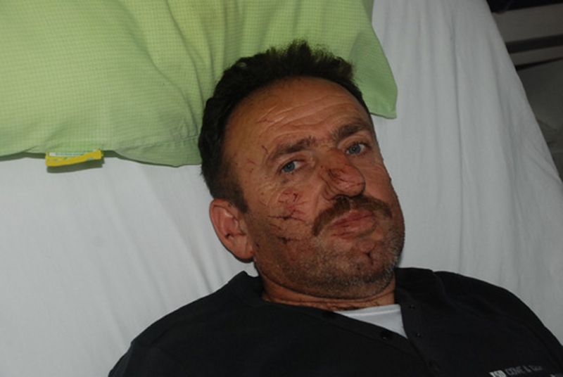 Sinop\'ta Kızgın Dana Dehşeti