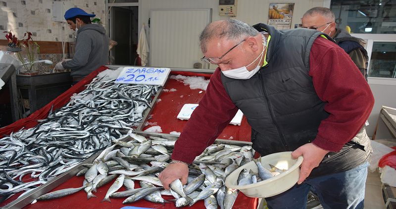 Marmara'dan giren çinekop Karadeniz'de gözüktü