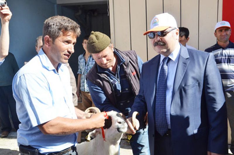 KOÇ’LAR SAHİPLERİNİ BULDU