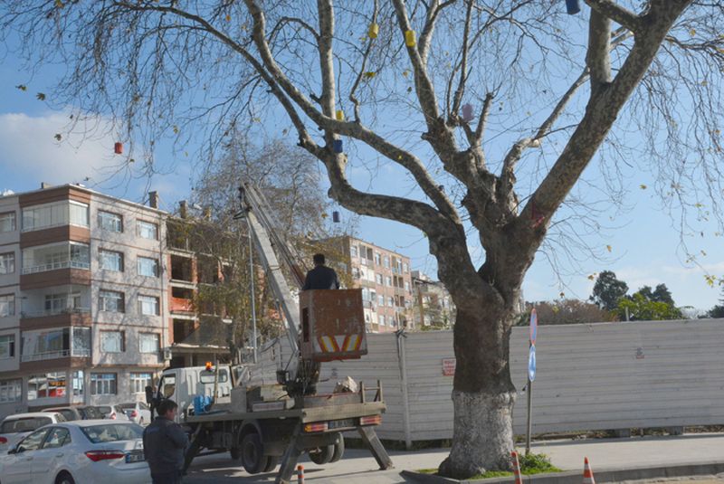 SİNOP YILBAŞI İÇİN IŞIL IŞIL