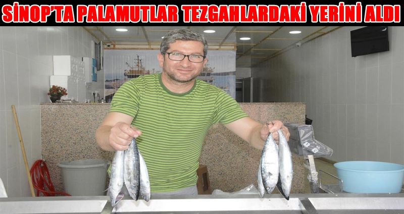 SİNOP’TA PALAMUTLAR TEZGAHLARDAKİ YERİNİ ALDI