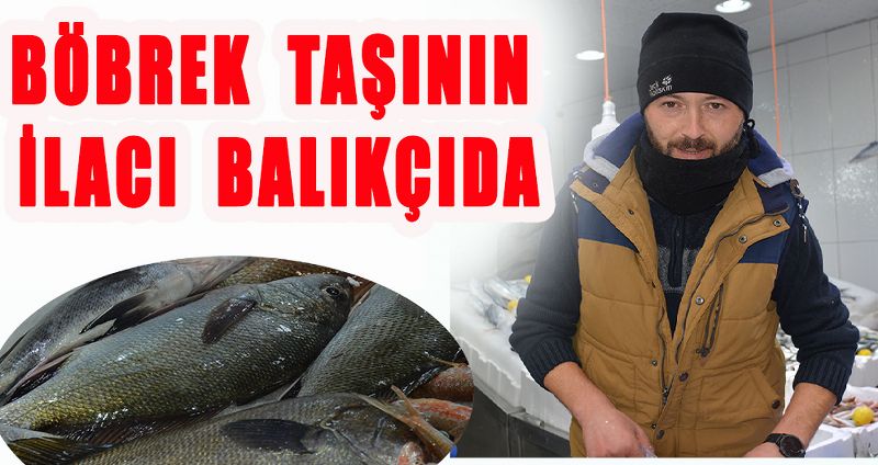 BÖBREK TAŞININ İLACI BU BALIKÇIDA