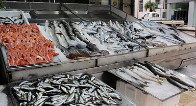 Balık tezgahlarını havuz balıkları süslüyor