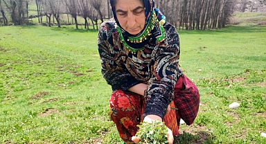 Bin bir zahmetle tek tek toplanıyor, faydası saymakla bitmiyor