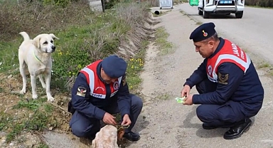 Can Dostlara Jandarma Şefkati