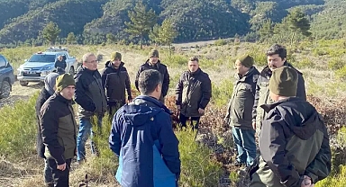 Durağan ormanlarında gençleştirme çalışmaları