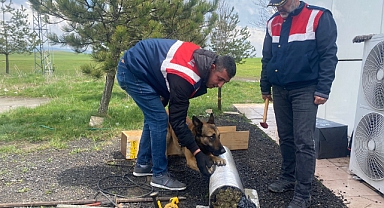 Yolcu otobüsündeki 15 kilo uyuşturucuyu "Asır" buldu