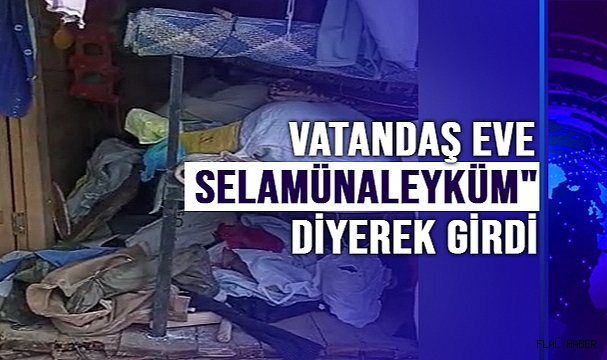 Ayılar yayla evlerini talan etti, vatandaş eve "Selamünaleyküm" diyerek girdi