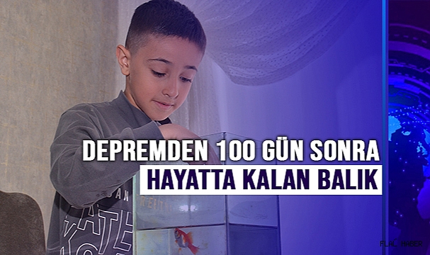 Deprem bölgesinde 100 gün sonra fanusta hayatta kalan balık şaşırttı