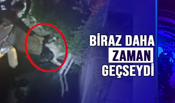 DİKKAT KURTARDI
