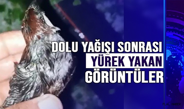 Dolu yağışı sonrası yürek yakan görüntüler