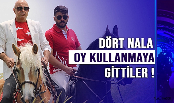 DÖRT NALA OY KULLANMAYA GİTTİLER!