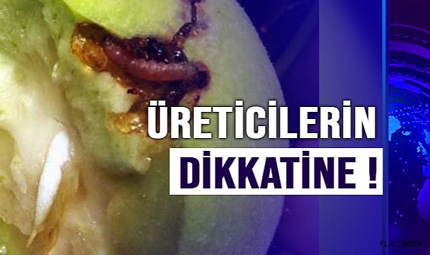 Elma, armut ve şeftali üreticilerinin alması gereken acil önlemler