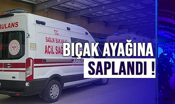 Fabrikada büyükbaş hayvan keserken bıçak ayağına saplandı