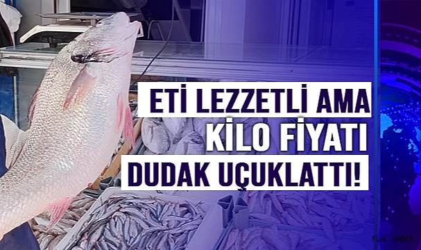 KARADENİZ'DE AVLANDI