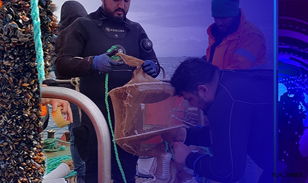 Karadeniz’de İki Farklı Derinlikte Yetiştirilen Midyeler Mercek Altına Alınacak