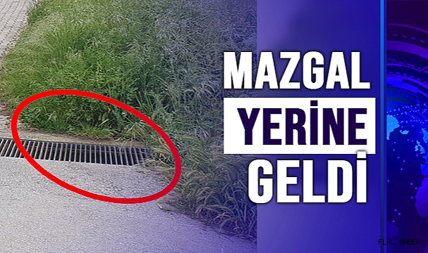 MAZGAL YERİNE GELDİ