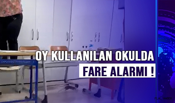 Oy kullanılan okulda fare alarmı