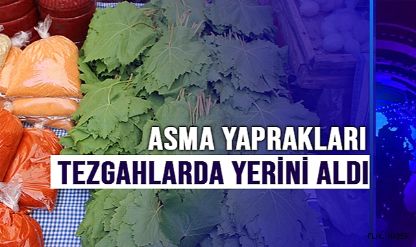 Sarmaların vazgeçilmezi asma yaprakları tezgahlarda yerini aldı