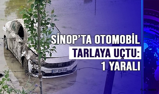 Sinop'ta otomobil çeltik tarlasına uçtu: 1 yaralı