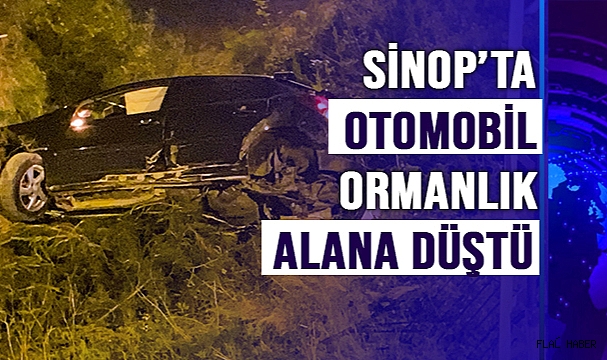 SİNOP’TA OTOMOBİL ORMANLIK ALANA DÜŞTÜ