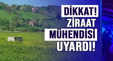 Sinoplu ziraat mühendisi uyardı
