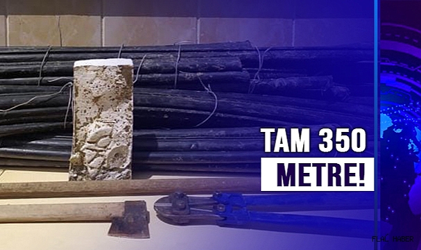 TAM 350 METRE
