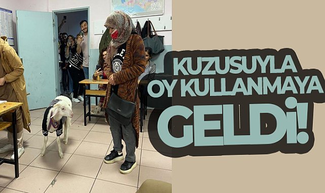 Üzerine kazak giydirdiği kuzusuyla oy kullanmaya geldi