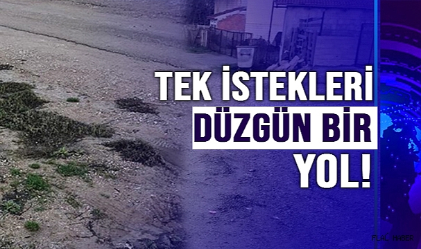 YOLLARININ YAPILMASINI İSTİYORLAR!