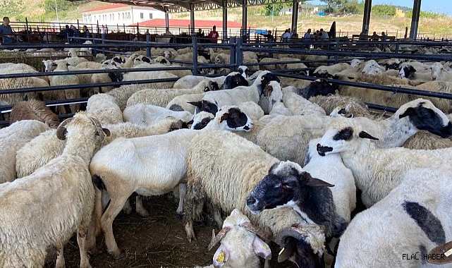 Bayram Telaşı Başladı