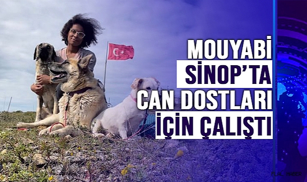BÜYÜK İŞLER BAŞARDI!