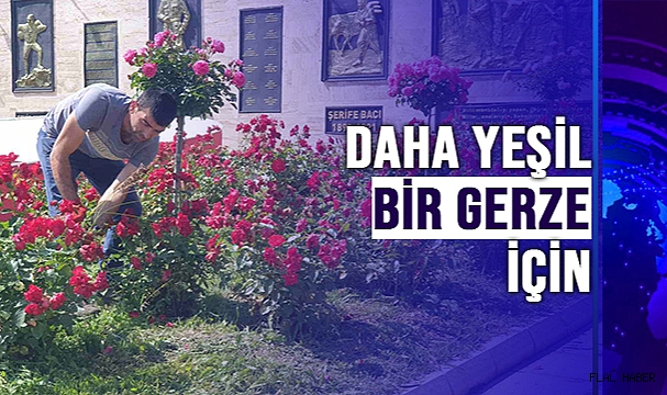DAHA YEŞİL BİR GERZE İÇİN