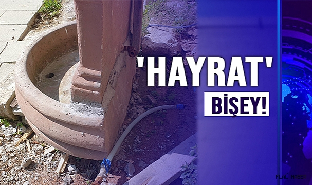 'HAYRAT' BİŞEY!