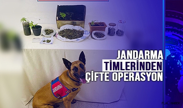Jandarma Timlerinden Çifte Operasyon