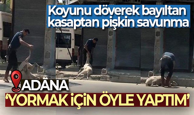 Koyunu döverek bayıltan kasaptan pişkin savunma: 'Yormak için öyle yaptım'