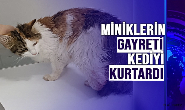 MİNİKLERİN GAYRETİ KEDİYİ KURTARDI