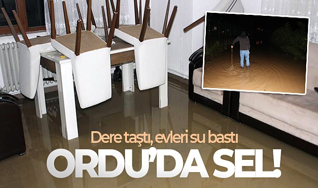 Ordu'da sağanak etkili oldu: Dere taşkını yaşandı, bazı evleri su bastı
