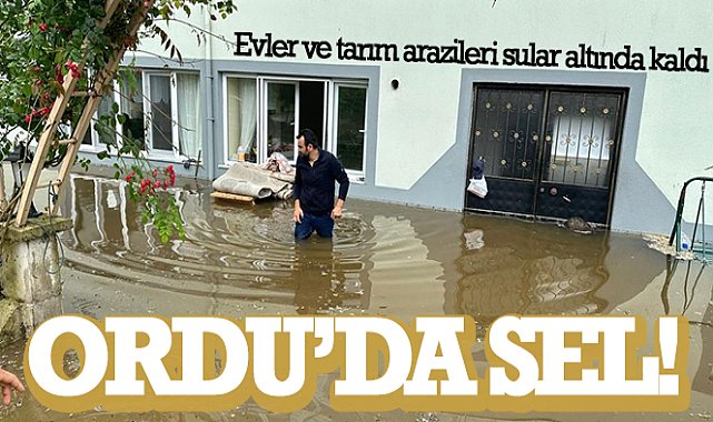 Ordu'da sel: Evler ve tarım arazileri sular altında kaldı