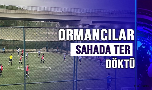 ORMANCILAR SAHADA TER DÖKTÜ
