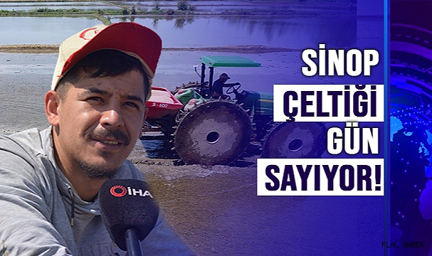 SİNOP ÇELTİĞİ GÜN SAYIYOR!