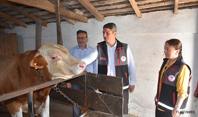 SİNOP’TA HAYVANCILIK İŞLETMELERİ DENETLENDİ
