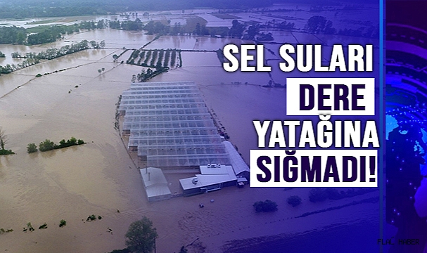 SİNOP’TA SEL ÇELTİK TARLALARINI VE SERALARI VURDU