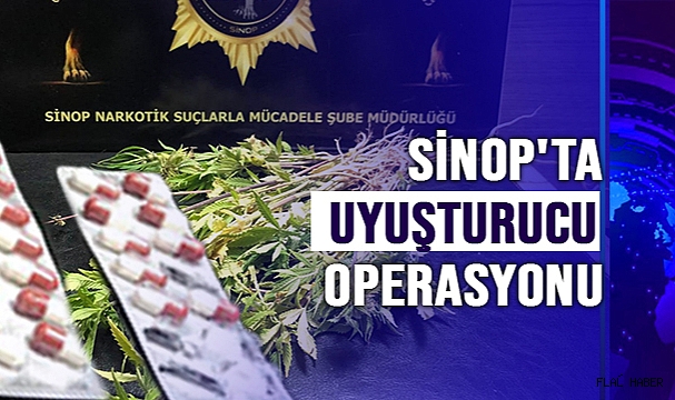 Sinop'ta uyuşturucu operasyonu
