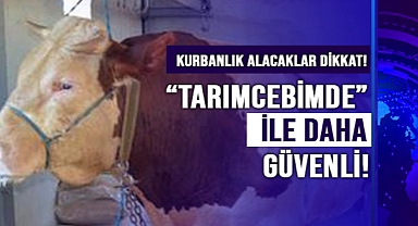 TARIMCEBİMDE İLE KURBANLIK ALMAK DAHA GÜVENİLİR
