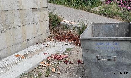 "TESPİT EDİLİP CEZALANDIRILMALI"