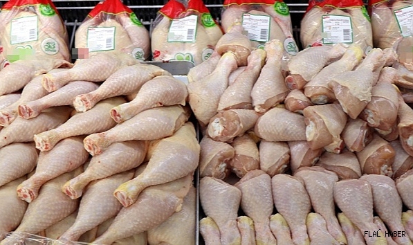 Yaz Aylarında Tavuk Zehirlenmelerine Dikkat !